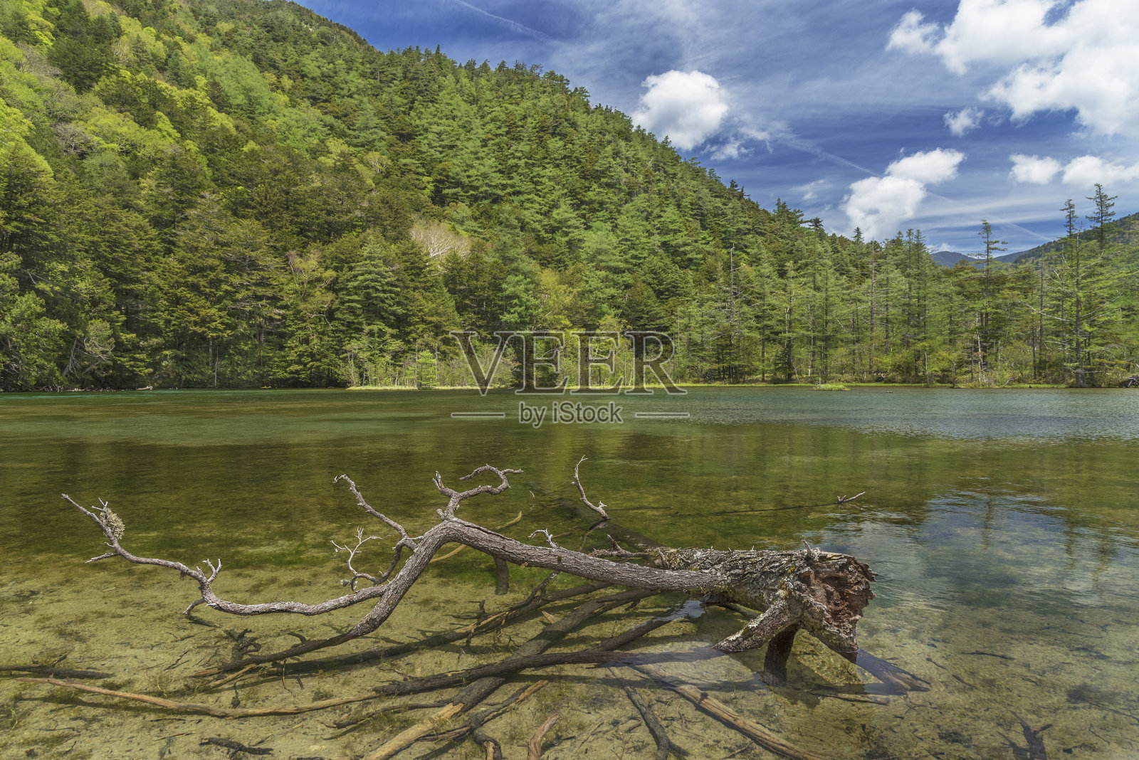 日本田园诗般的风景照片摄影图片