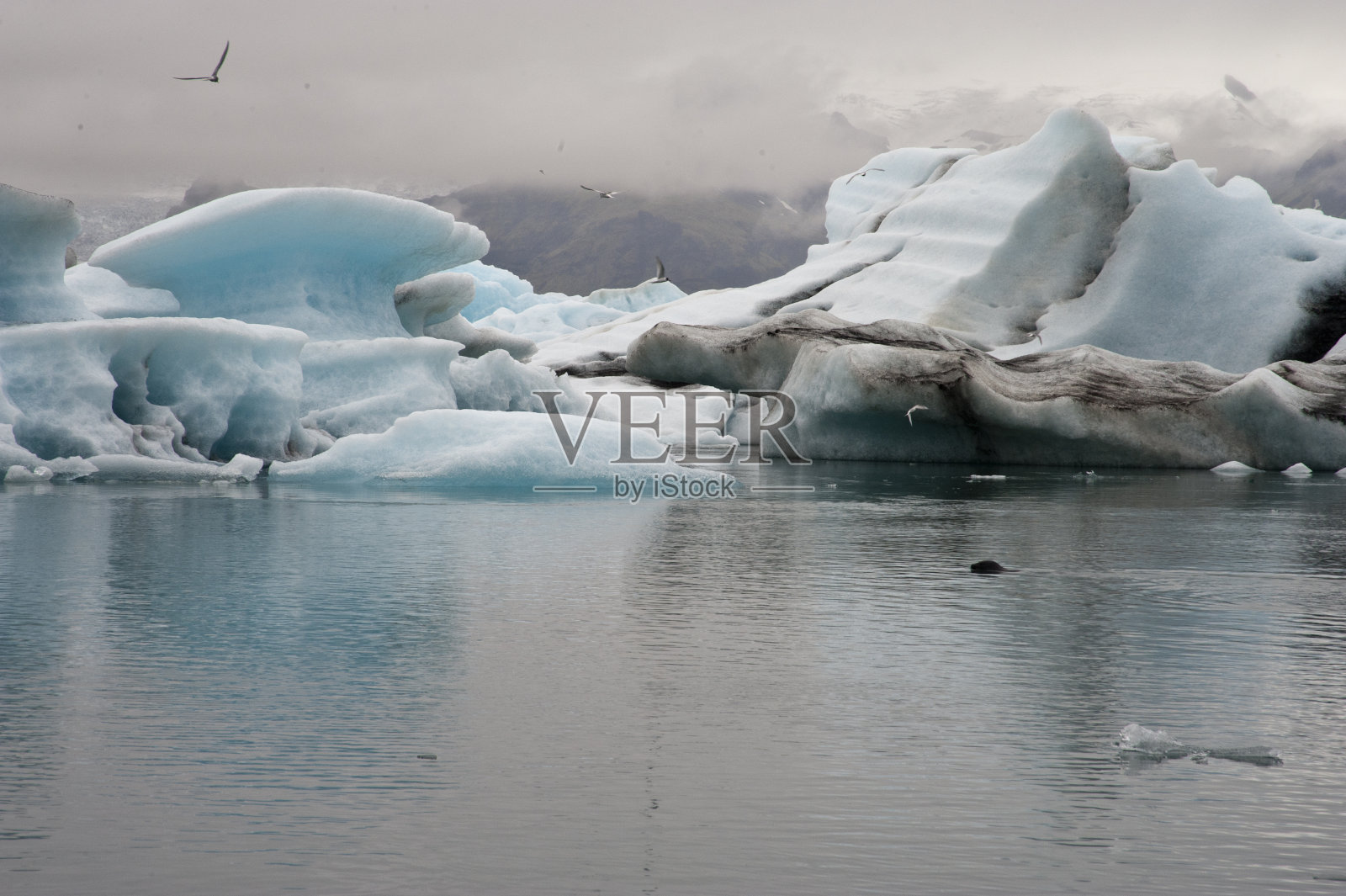 全景Jokulsarlon,冰岛。这是典型的冰岛景观，有海豹、冰山、岩石和水的野生自然景观。照片摄影图片