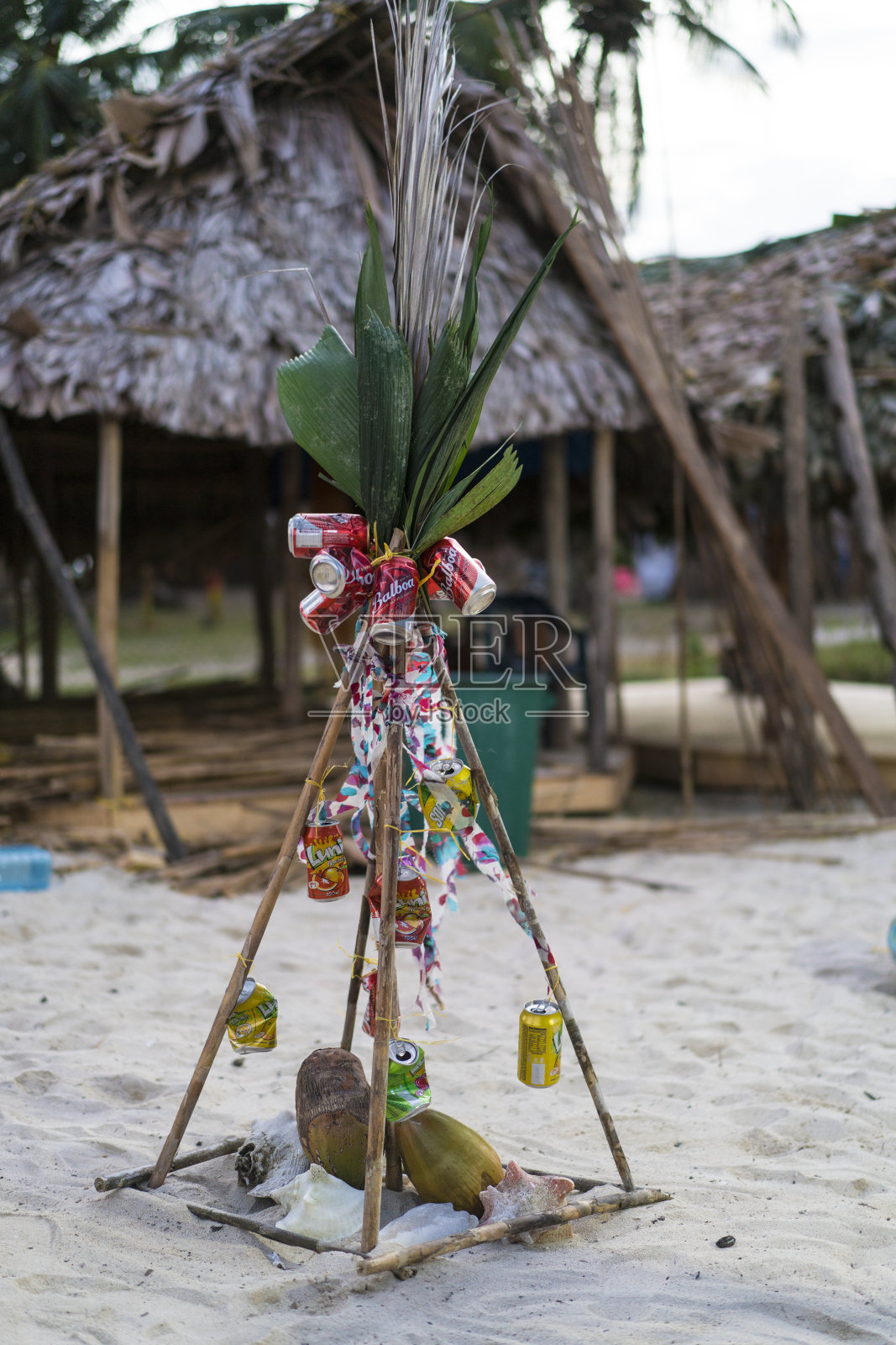 巴拿马加勒比海佩罗岛的圣诞树照片摄影图片