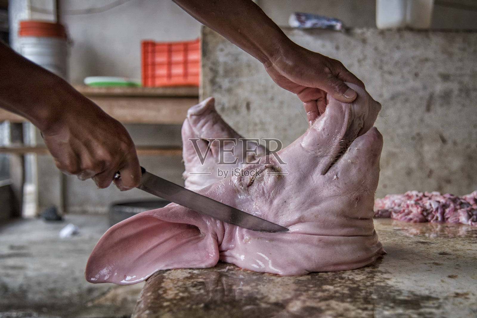 屠夫清洗猪头以出售照片摄影图片
