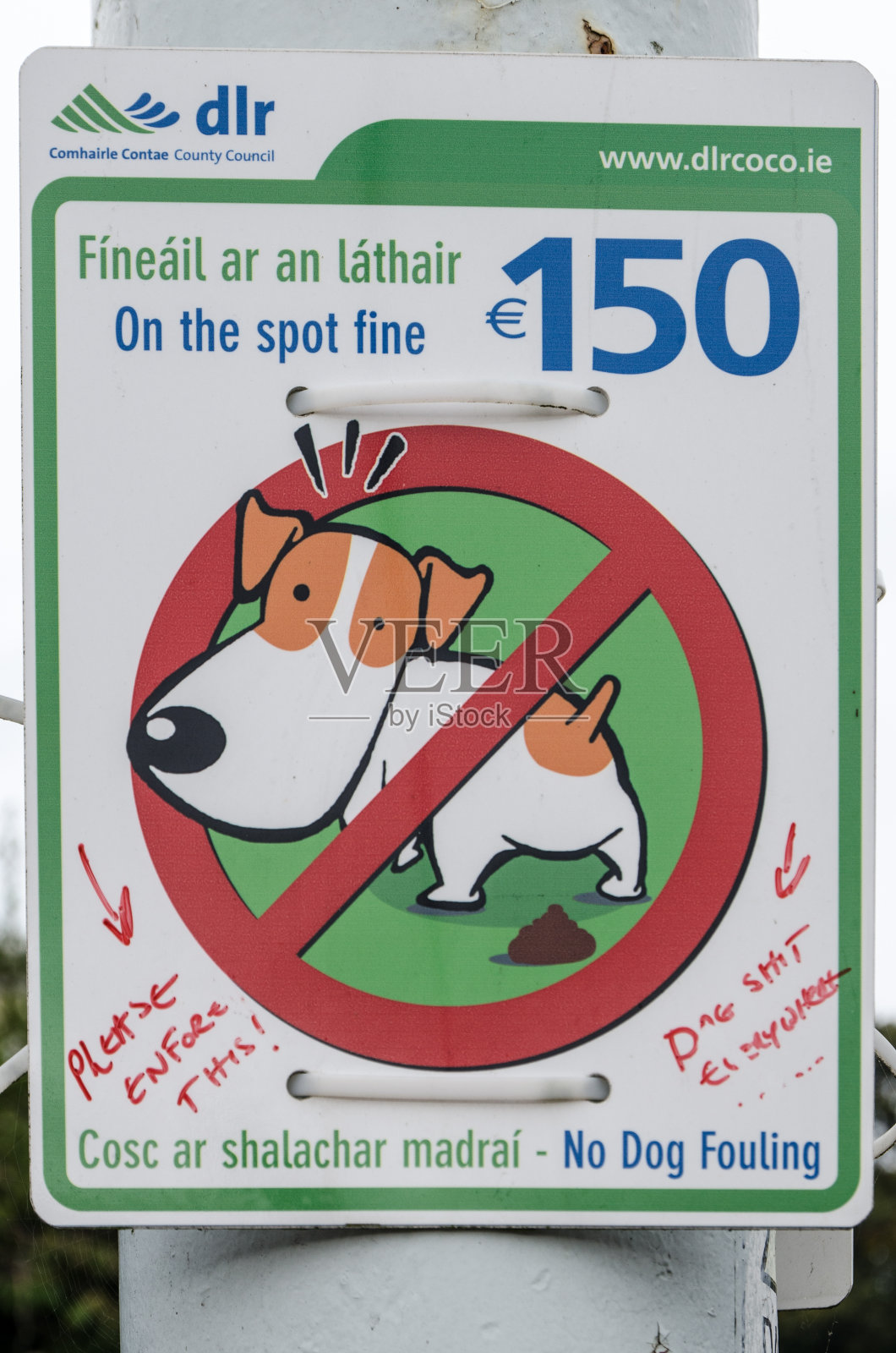 在爱尔兰多尔基签名,要求挖狗屎,上面写着执行法律照片摄影图片