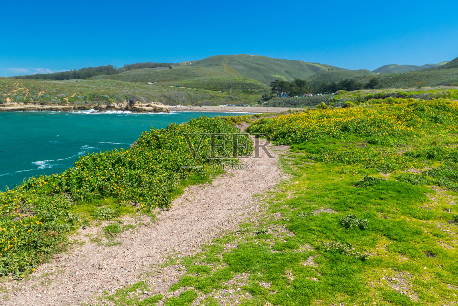 探索Spooner's Cove, Bluff Trail, Montana de Oro State Park, Morro Bay, San Luis Obispo County, USA, California照片摄影图片