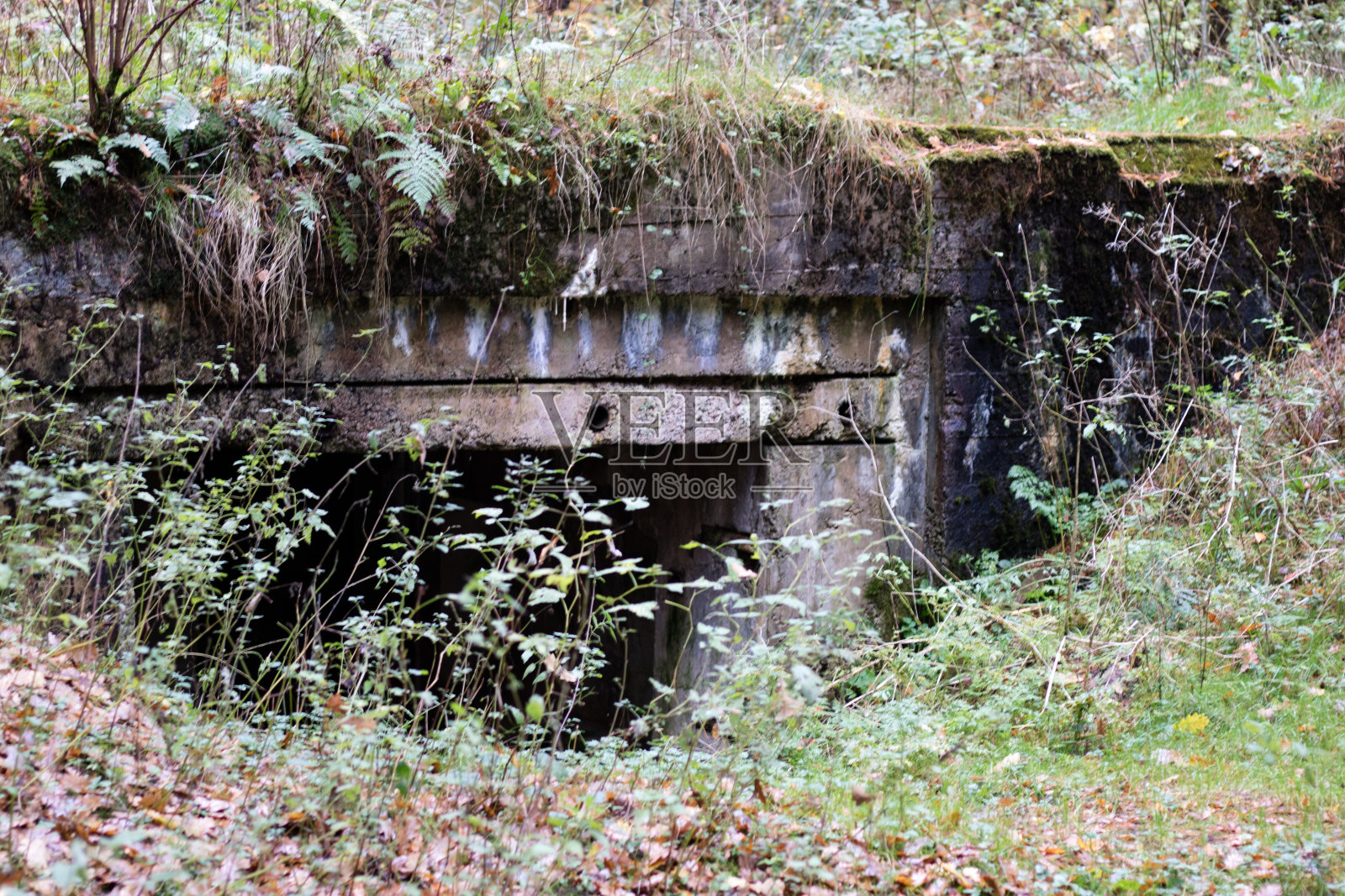 二战时期的旧地堡。来自波美拉尼亚堤岸的德国防御工事。秋天的季节照片摄影图片