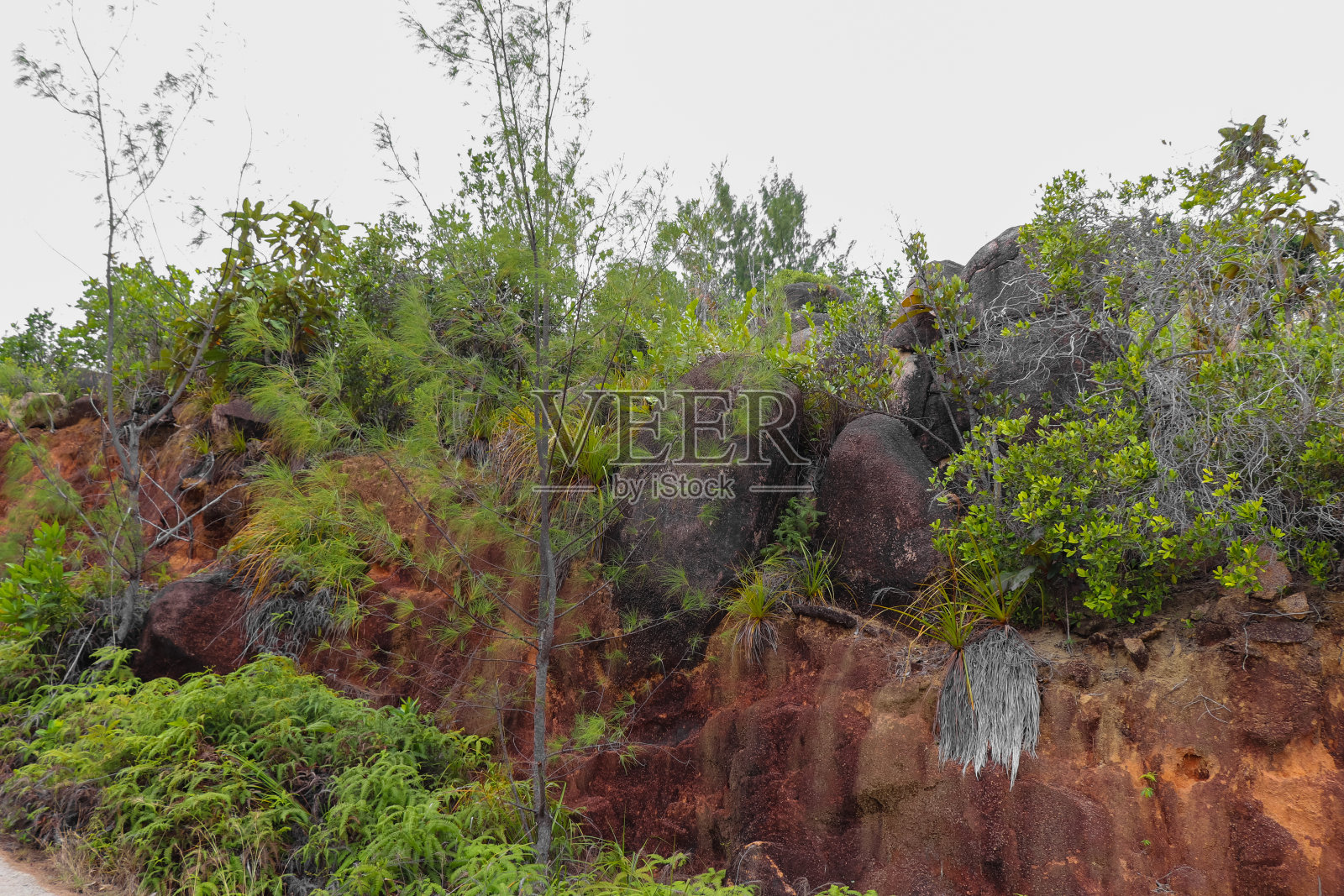 海滩附近的Cote D'Or山。普拉兰岛岛。塞舌尔照片摄影图片