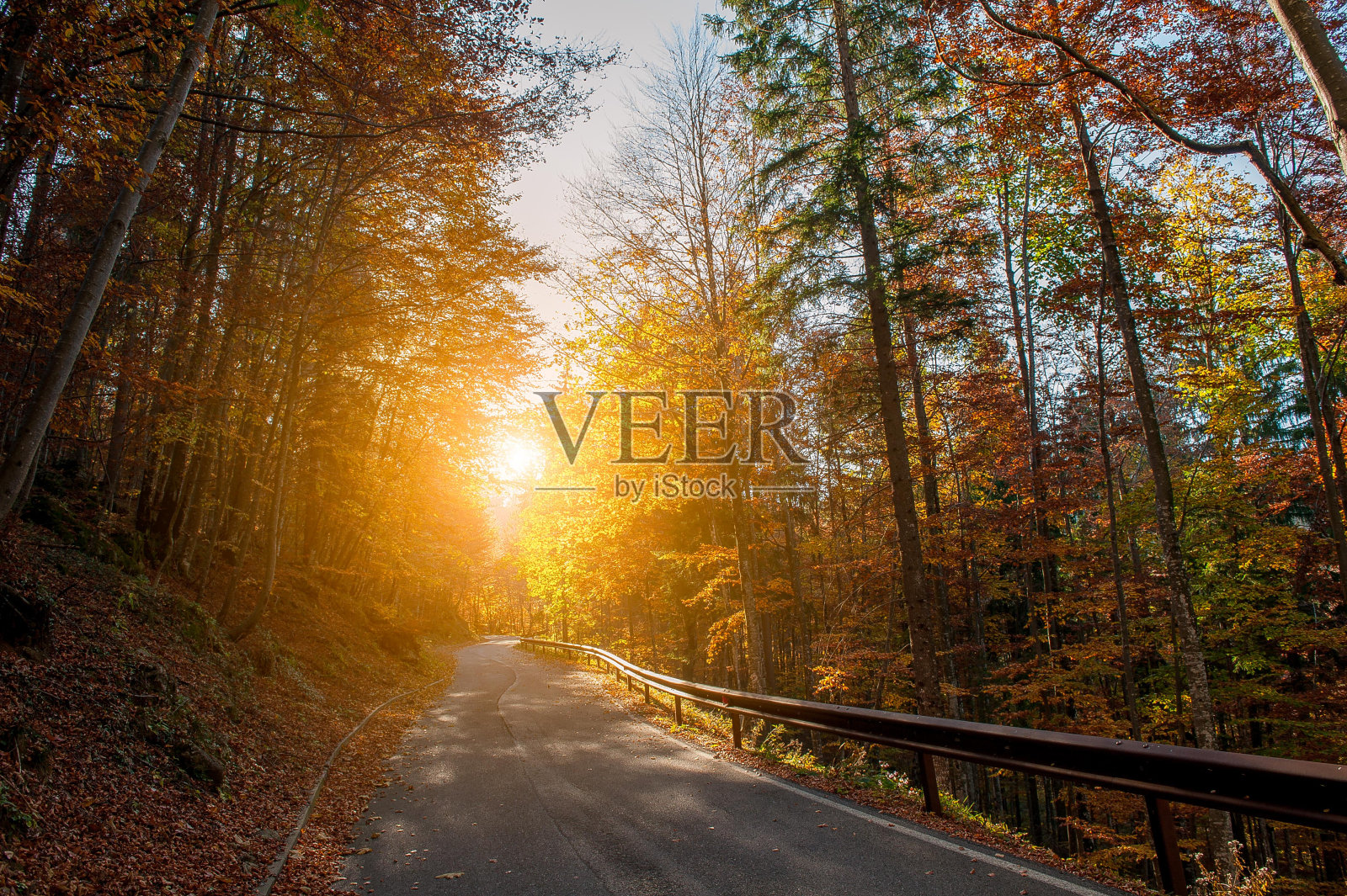 路照片摄影图片