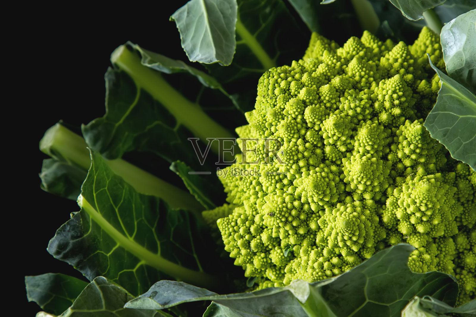 菜花是绿色和紫色的。黑暗的背景。素食。照片摄影图片