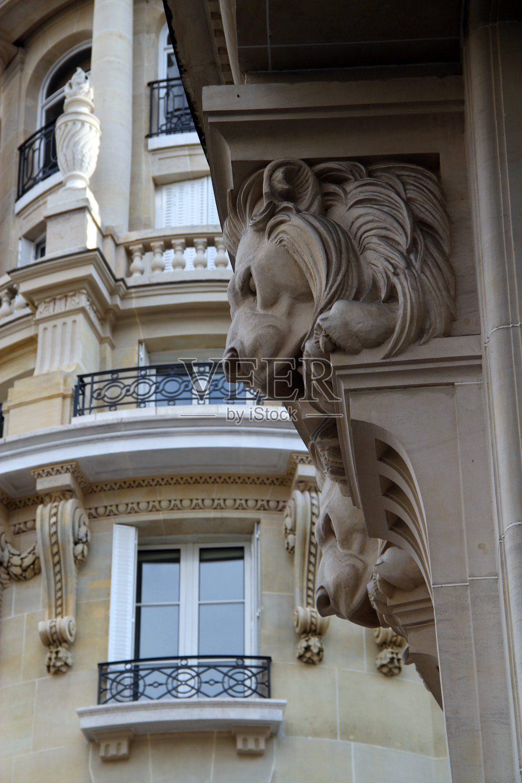 墙上的狮子照片摄影图片