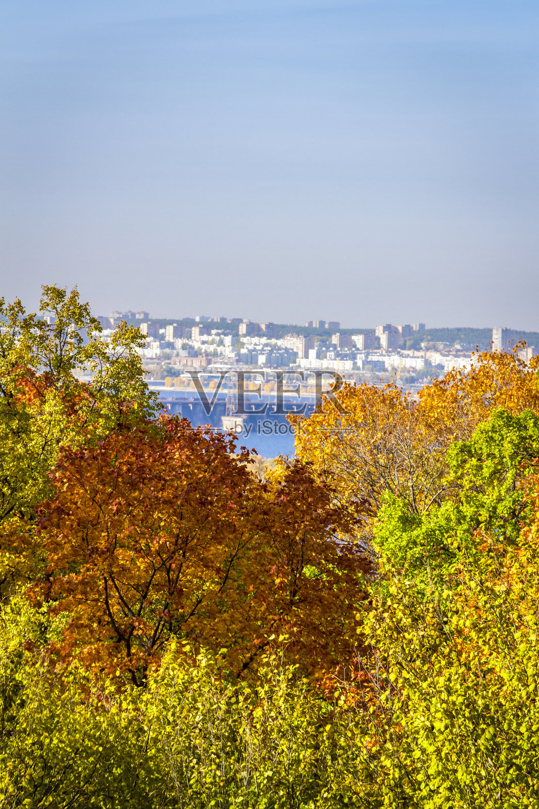城市的背景是森林照片摄影图片