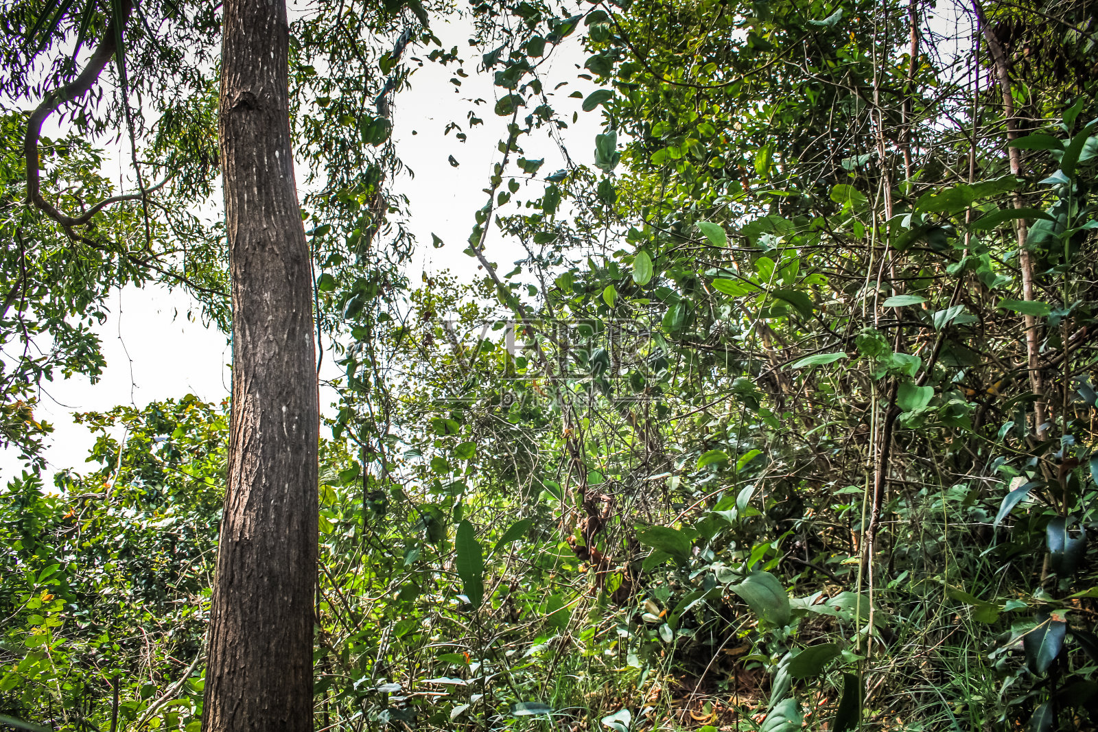 GOKARNA海滩照片摄影图片