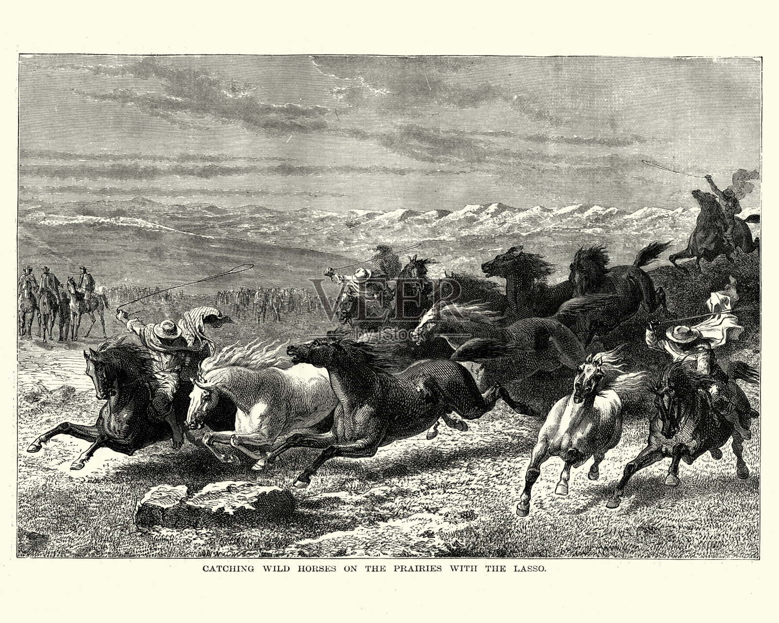 在草原上用套索抓野马插画图片素材