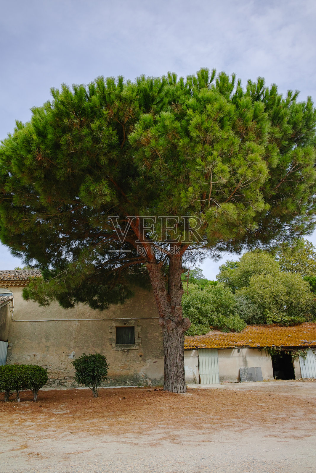 普罗旺斯的生活方式——中世纪小村庄中法国房屋和建筑的细节和元素照片摄影图片