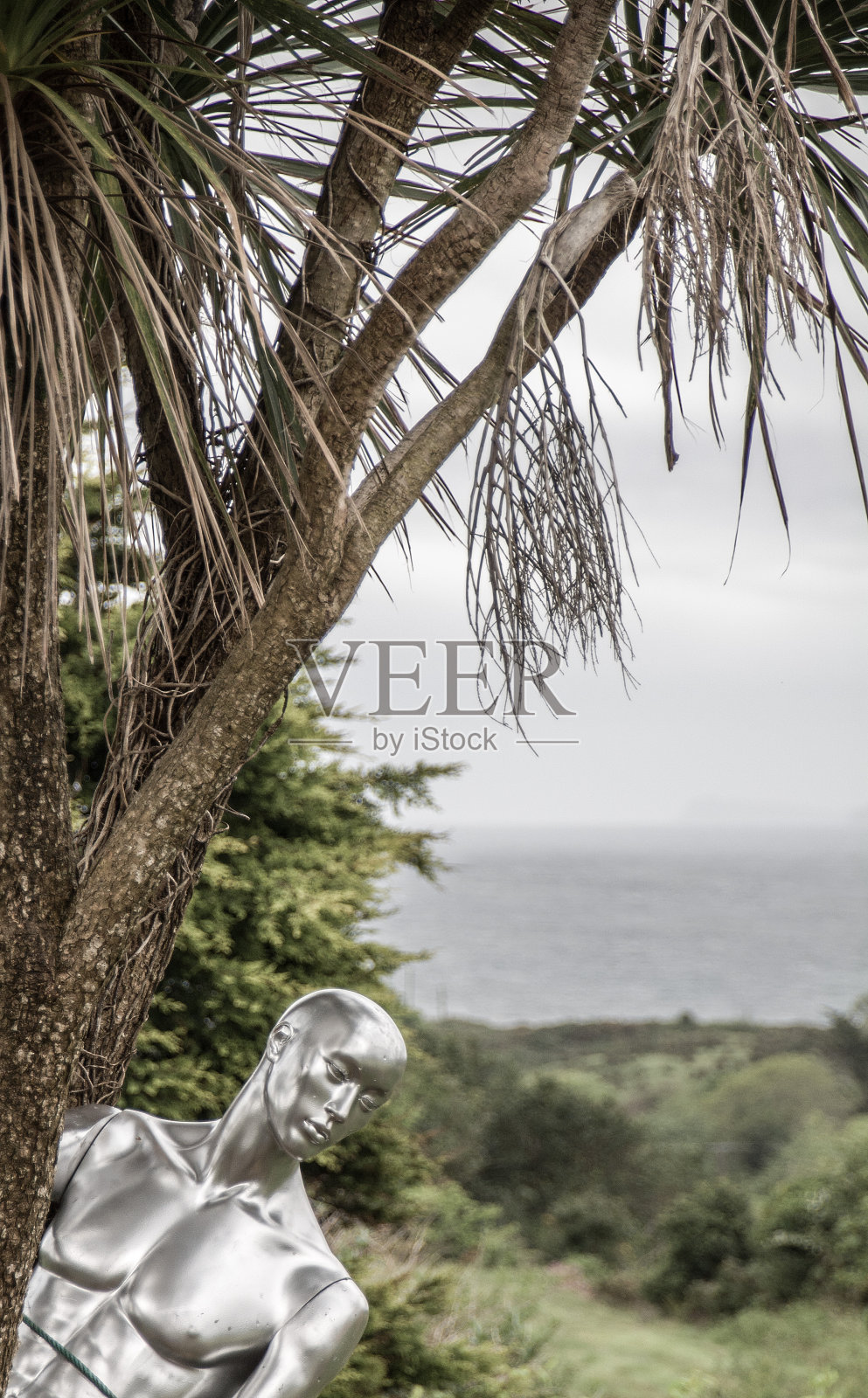 模特户外照片摄影图片