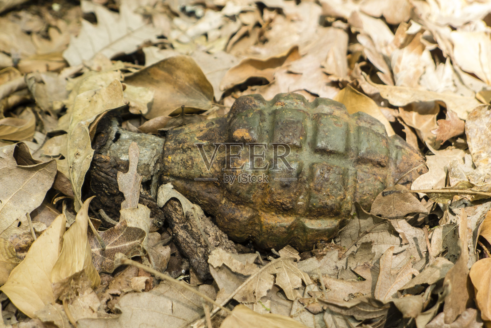 战争残余菠萝手炸弹照片摄影图片