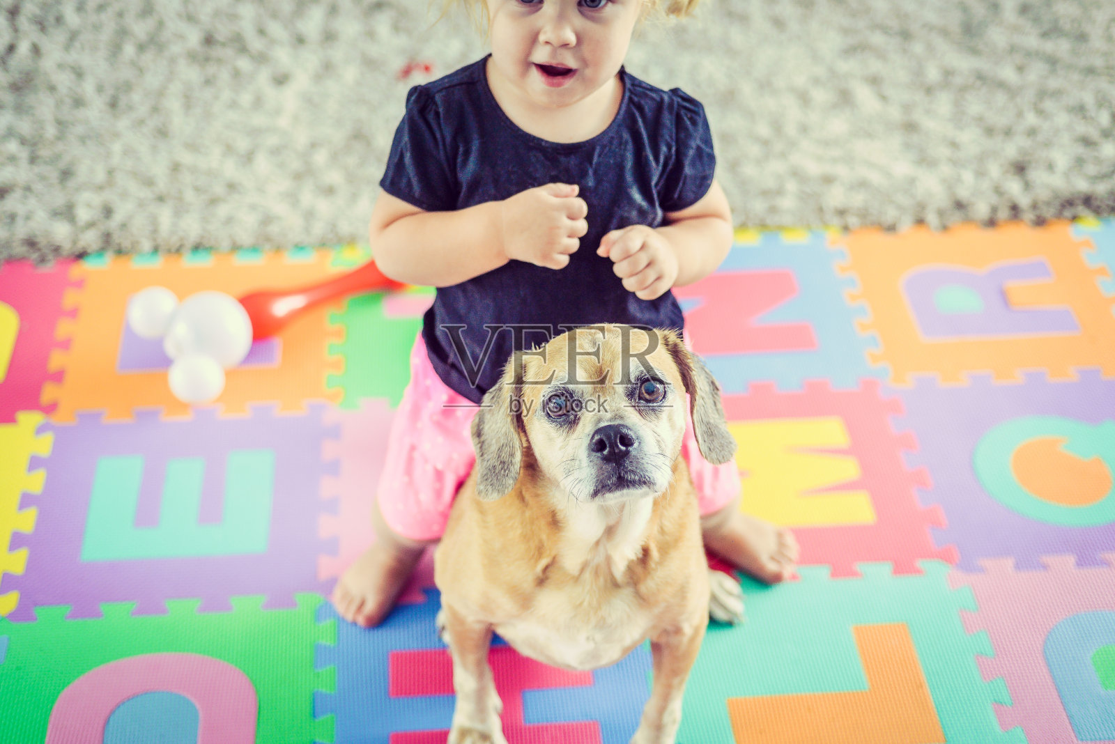 小孩和狗照片摄影图片