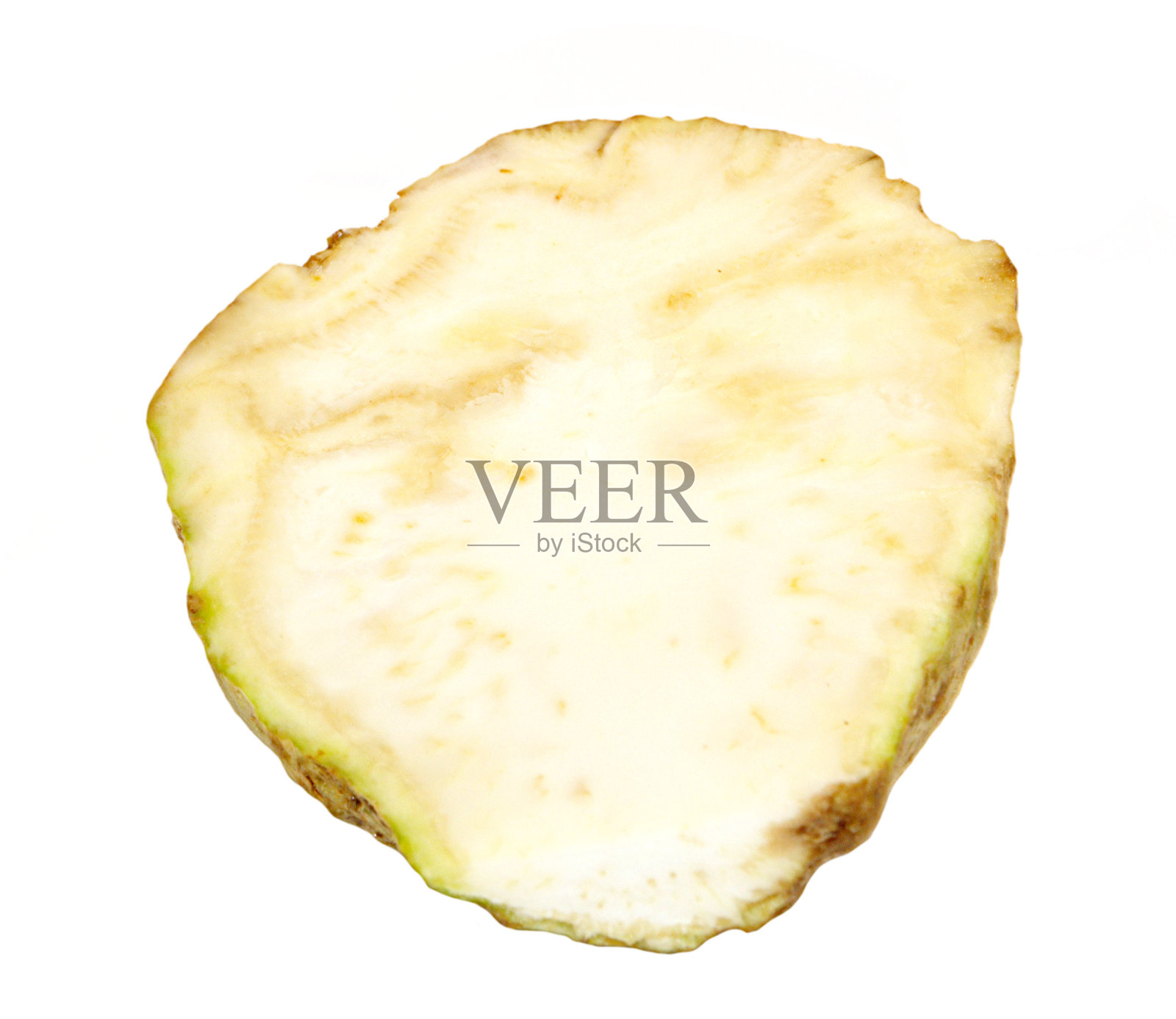 在白色背景上孤立的芹菜根照片摄影图片