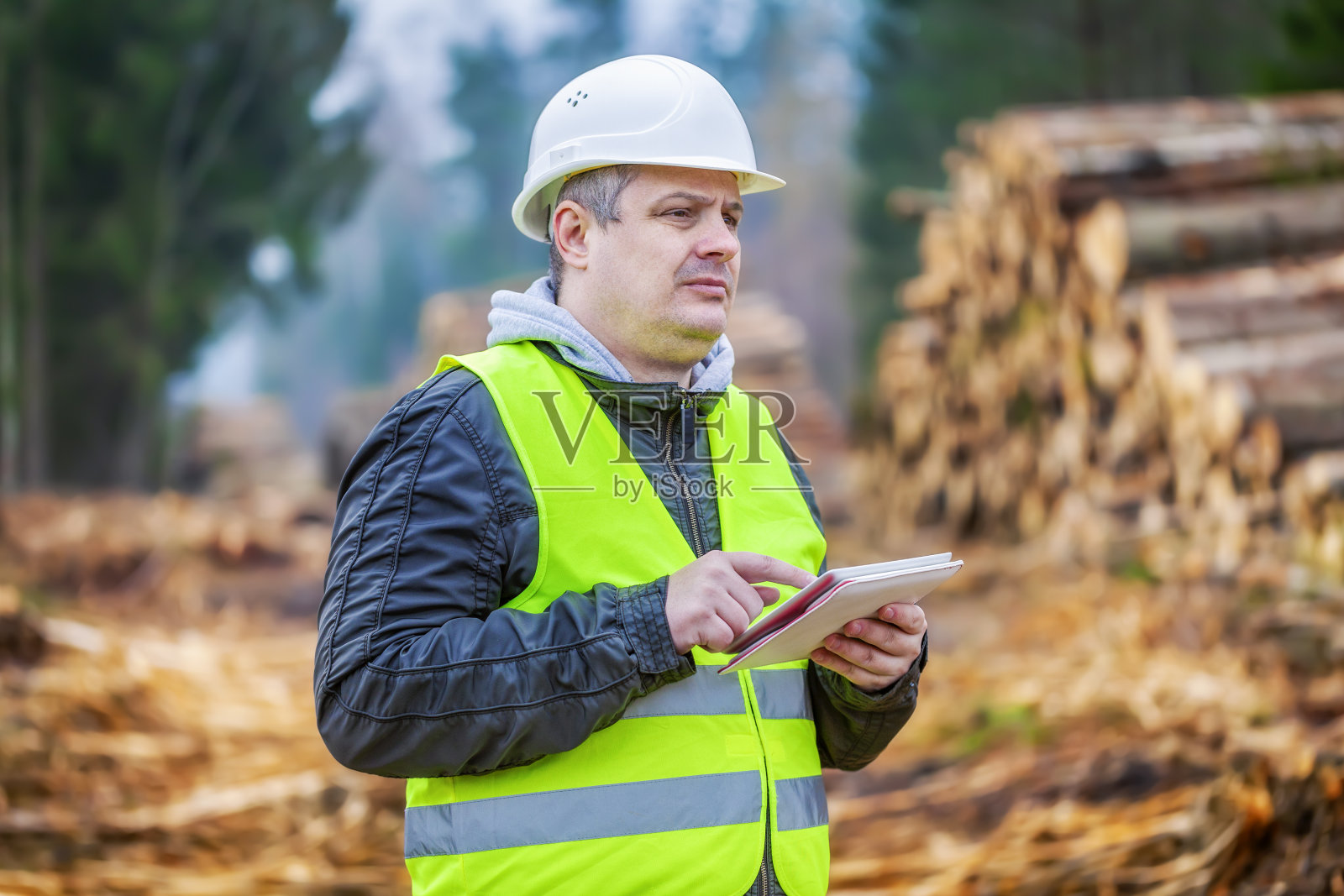 森林工程师与平板电脑附近的原木在森林照片摄影图片