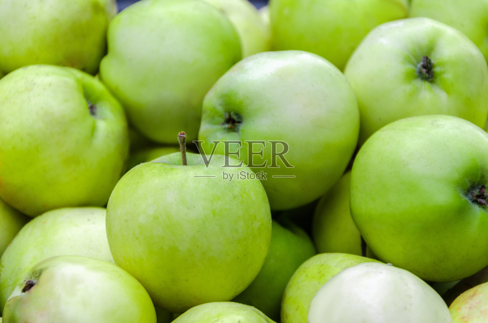 整幅画上都是青苹果照片摄影图片