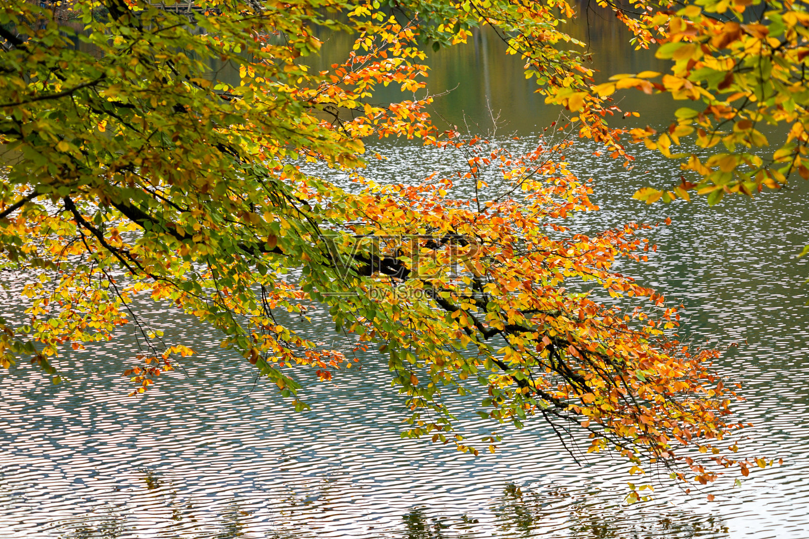 秋天，森林，五彩缤纷的树叶和瀑布，小溪，湖泊的景色照片摄影图片