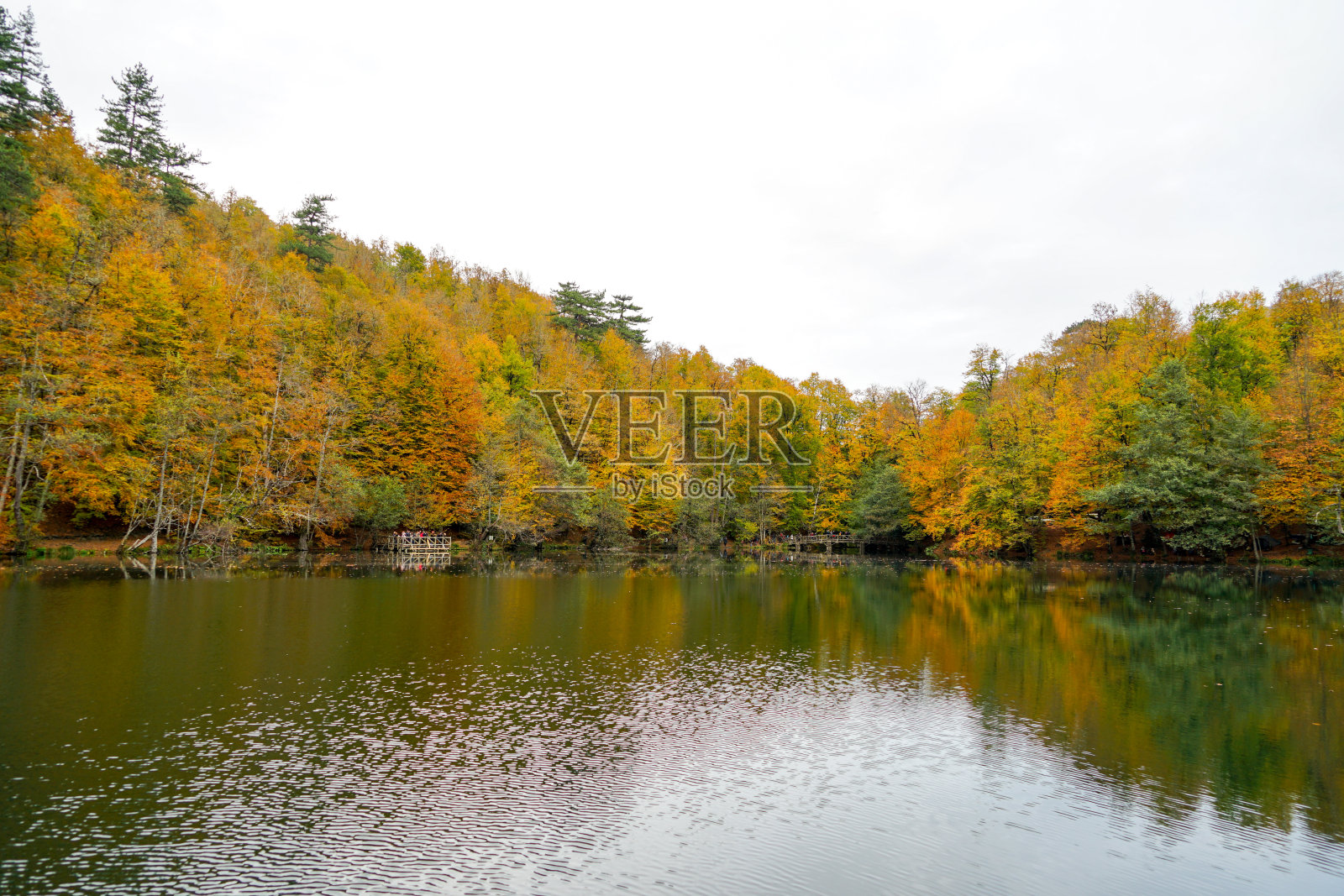 秋天，森林，五彩缤纷的树叶和瀑布，小溪，湖泊的景色照片摄影图片