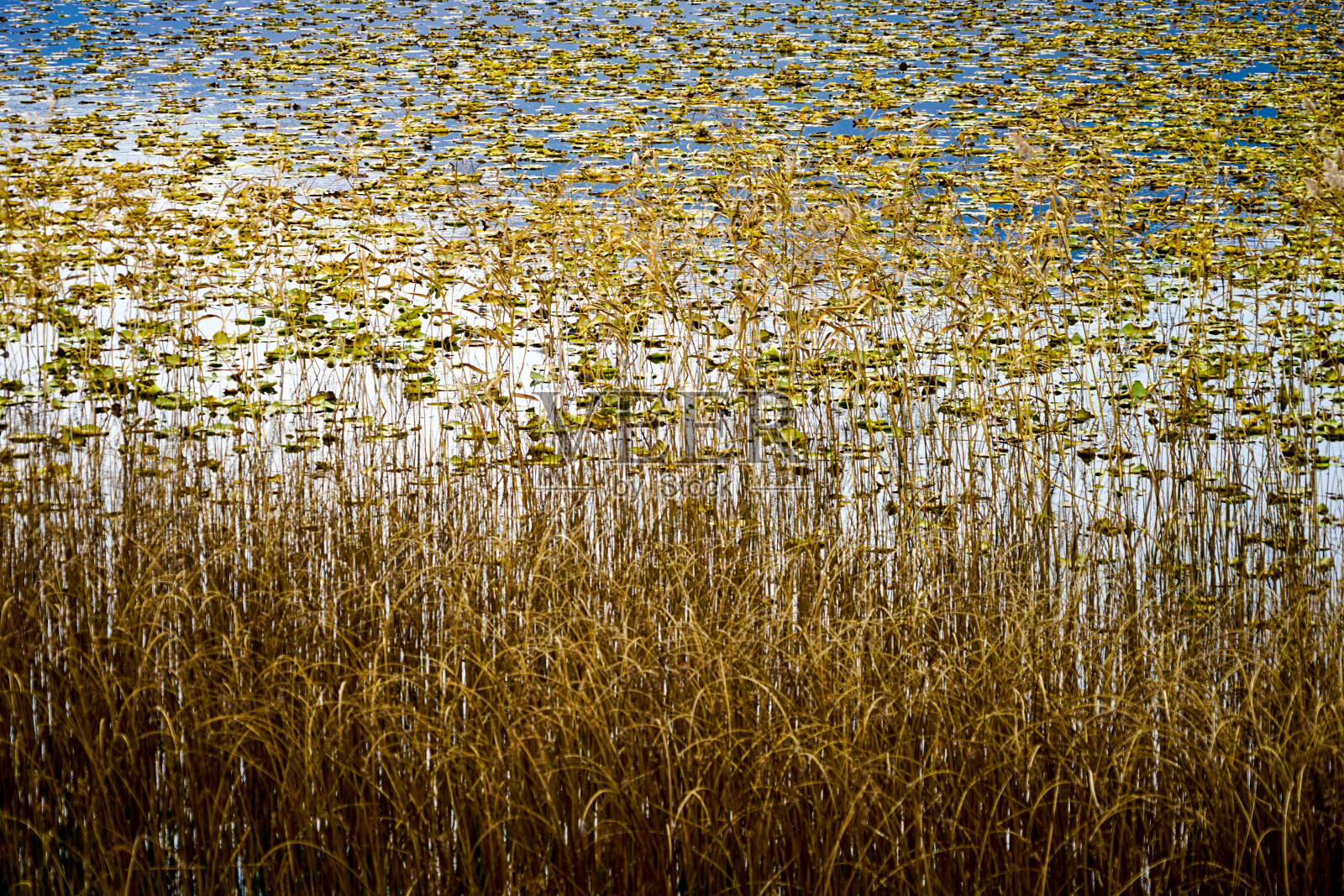 秋天，森林，五彩缤纷的树叶和瀑布，小溪，湖泊的景色照片摄影图片