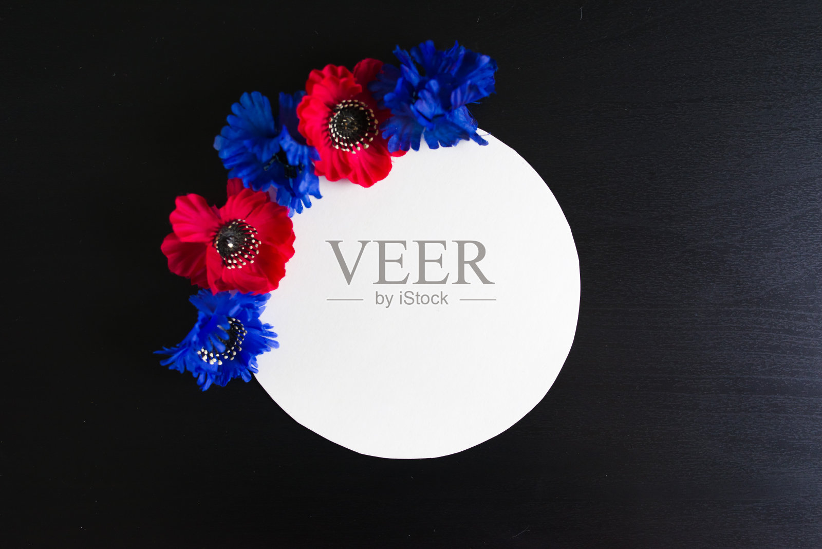 罂粟花框架俯视图照片摄影图片