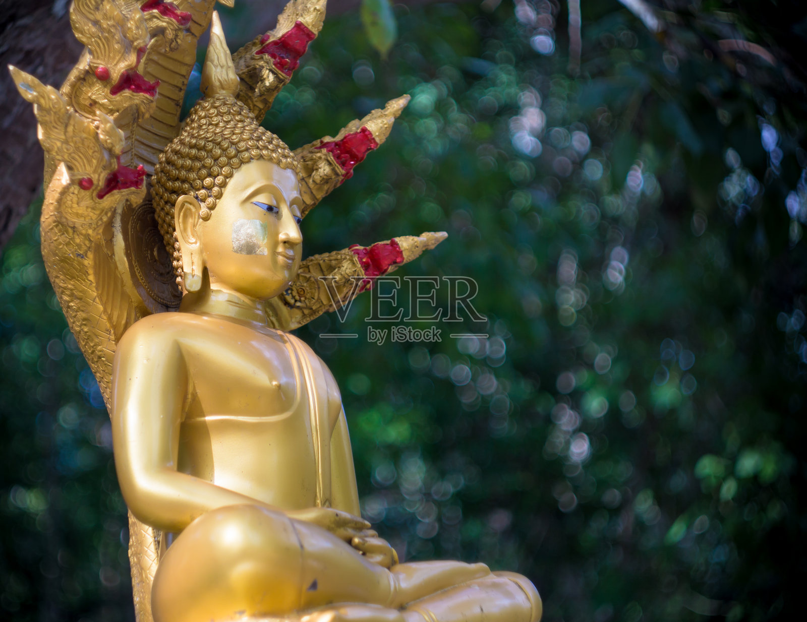 金佛穆西兰达与那迦王眼镜蛇禅坐照片摄影图片