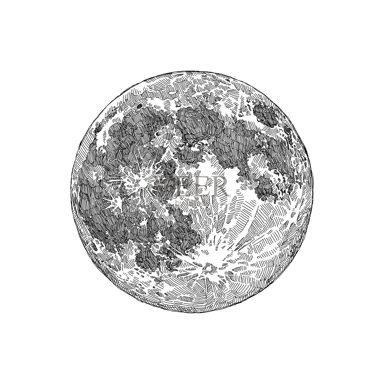 满月草图设计元素图片