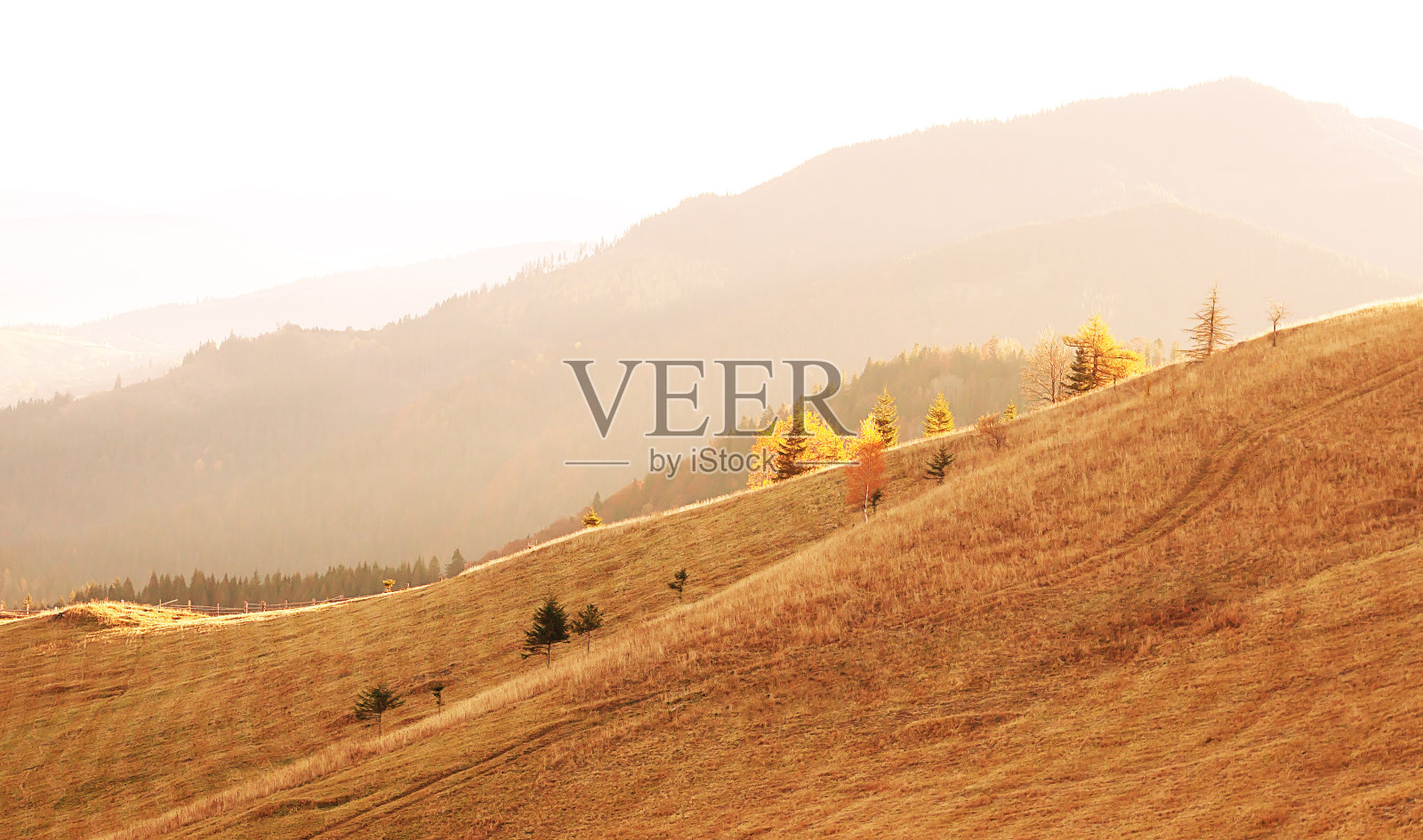 秋天阳光明媚的山谷美景，喀尔巴阡清晨的日出照片摄影图片