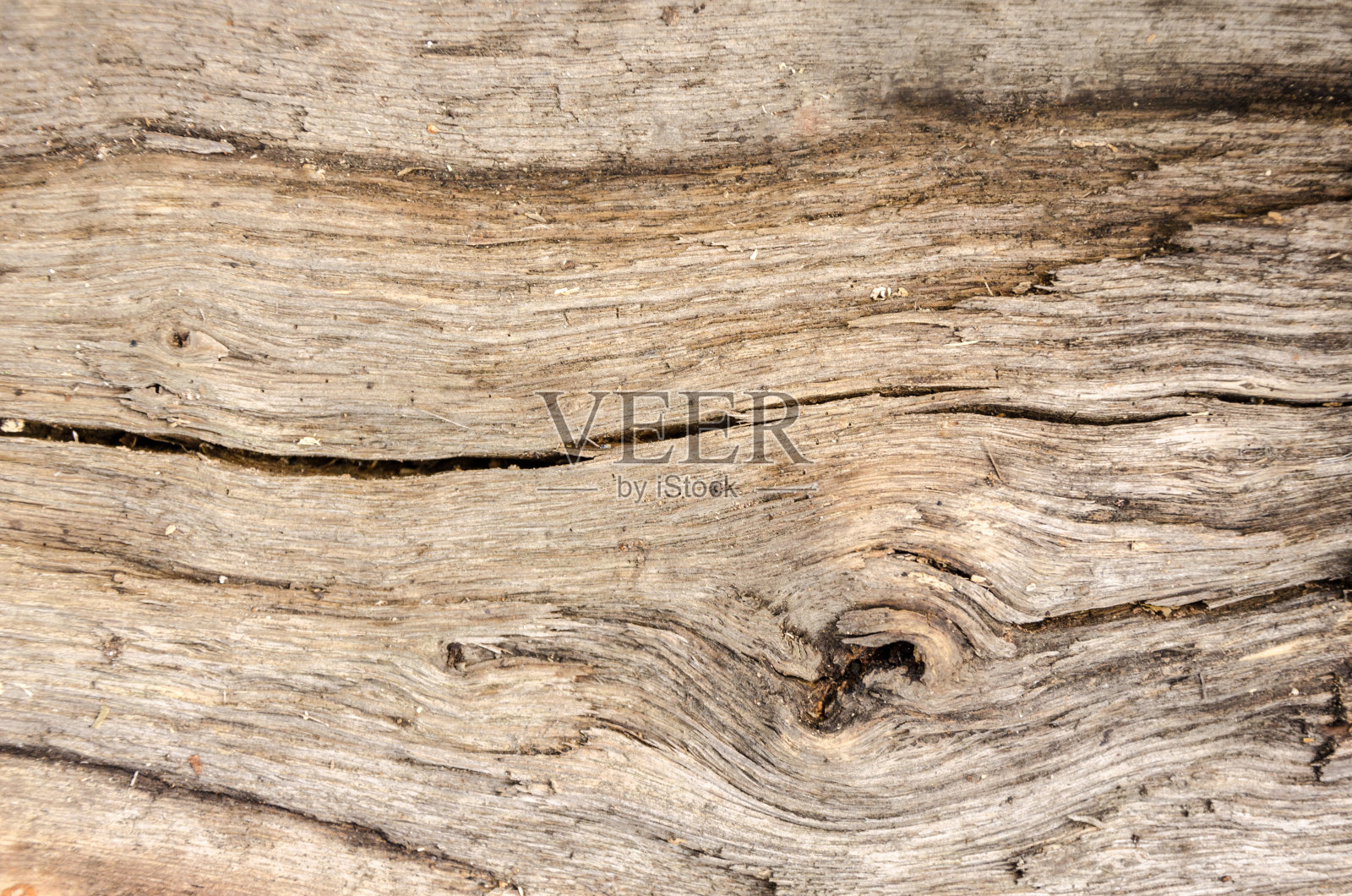 纹理的木板上的整个框架照片摄影图片