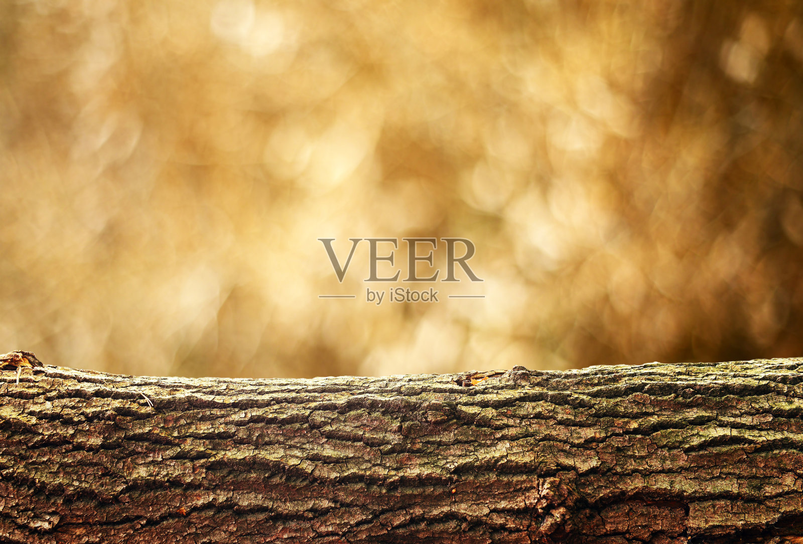 树日志背景照片摄影图片