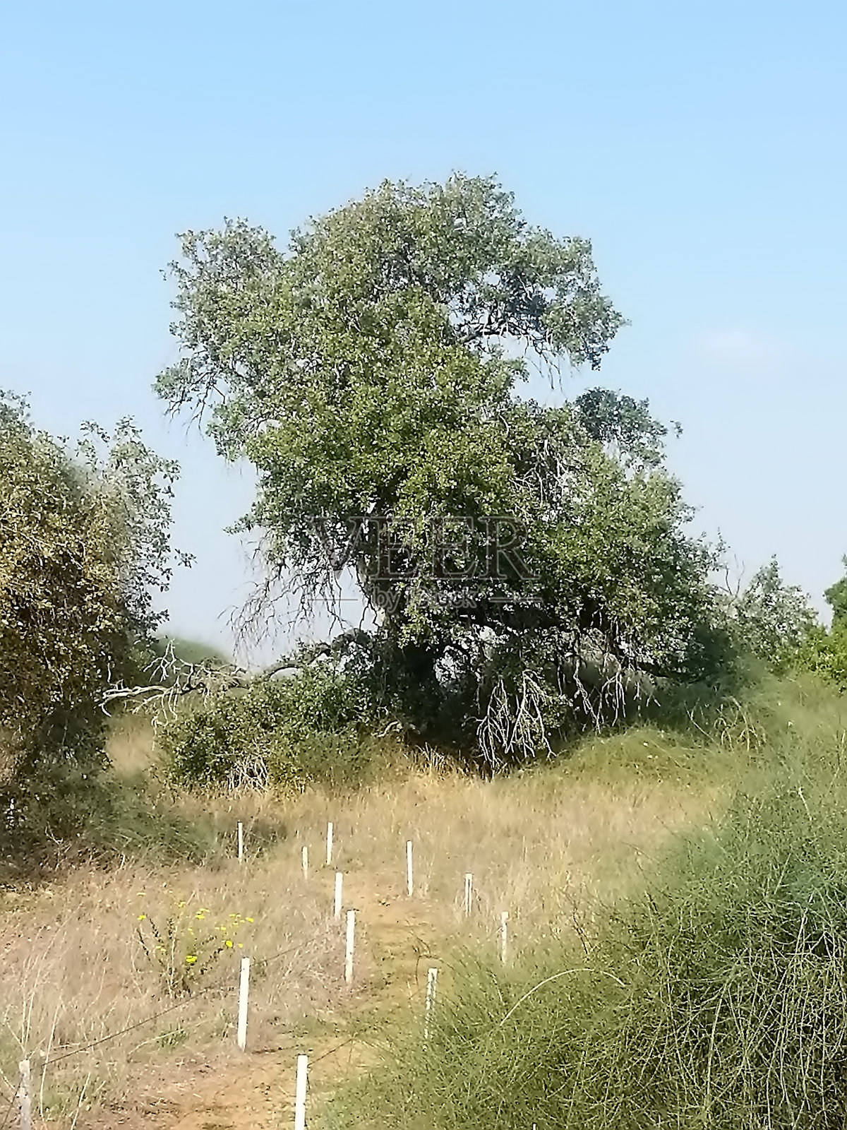 沙龙北部之旅照片摄影图片