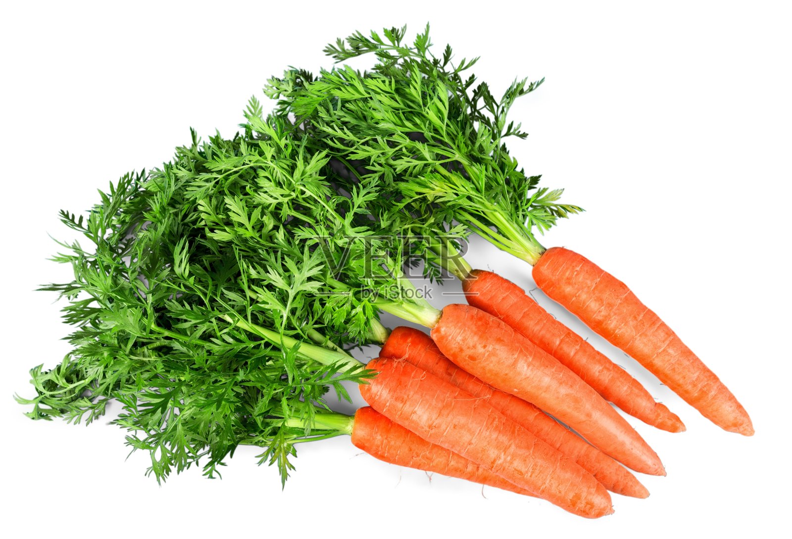 胡萝卜。照片摄影图片