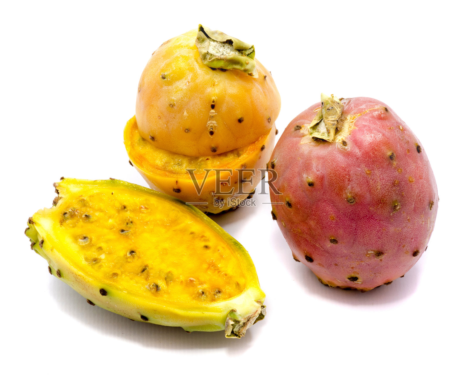 仙人掌(仙人掌梨)孤立照片摄影图片