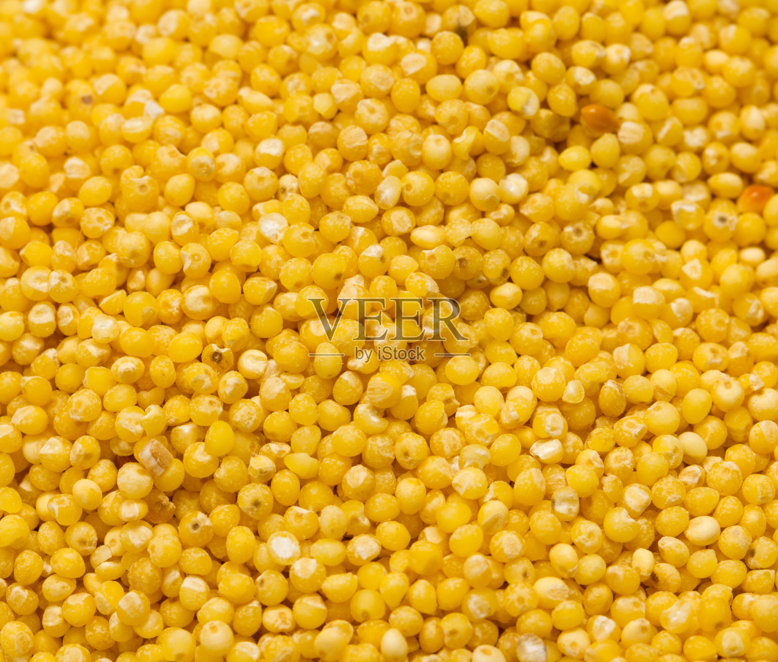 小米的背景。宏照片摄影图片