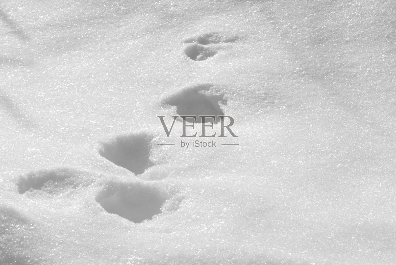 在雪地上跟踪照片摄影图片