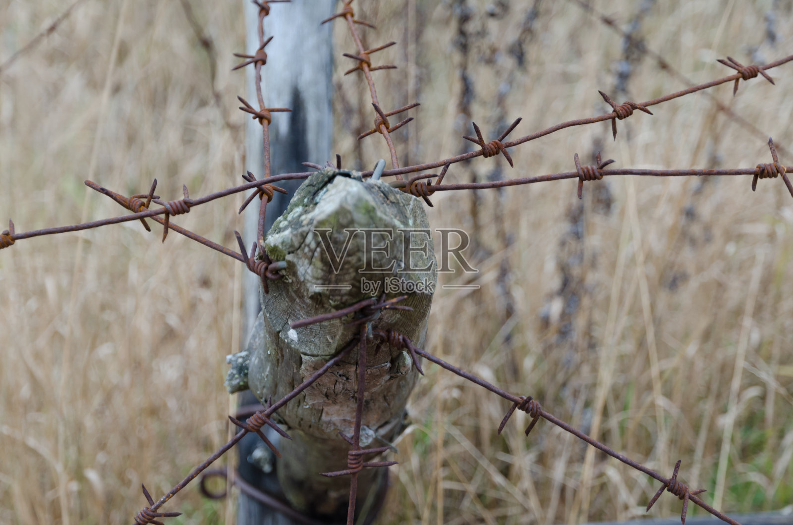 旧铁丝网的碎片照片摄影图片
