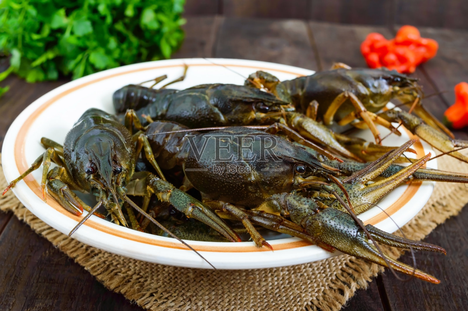深色木质背景上的陶瓷碗里活的小龙虾。照片摄影图片