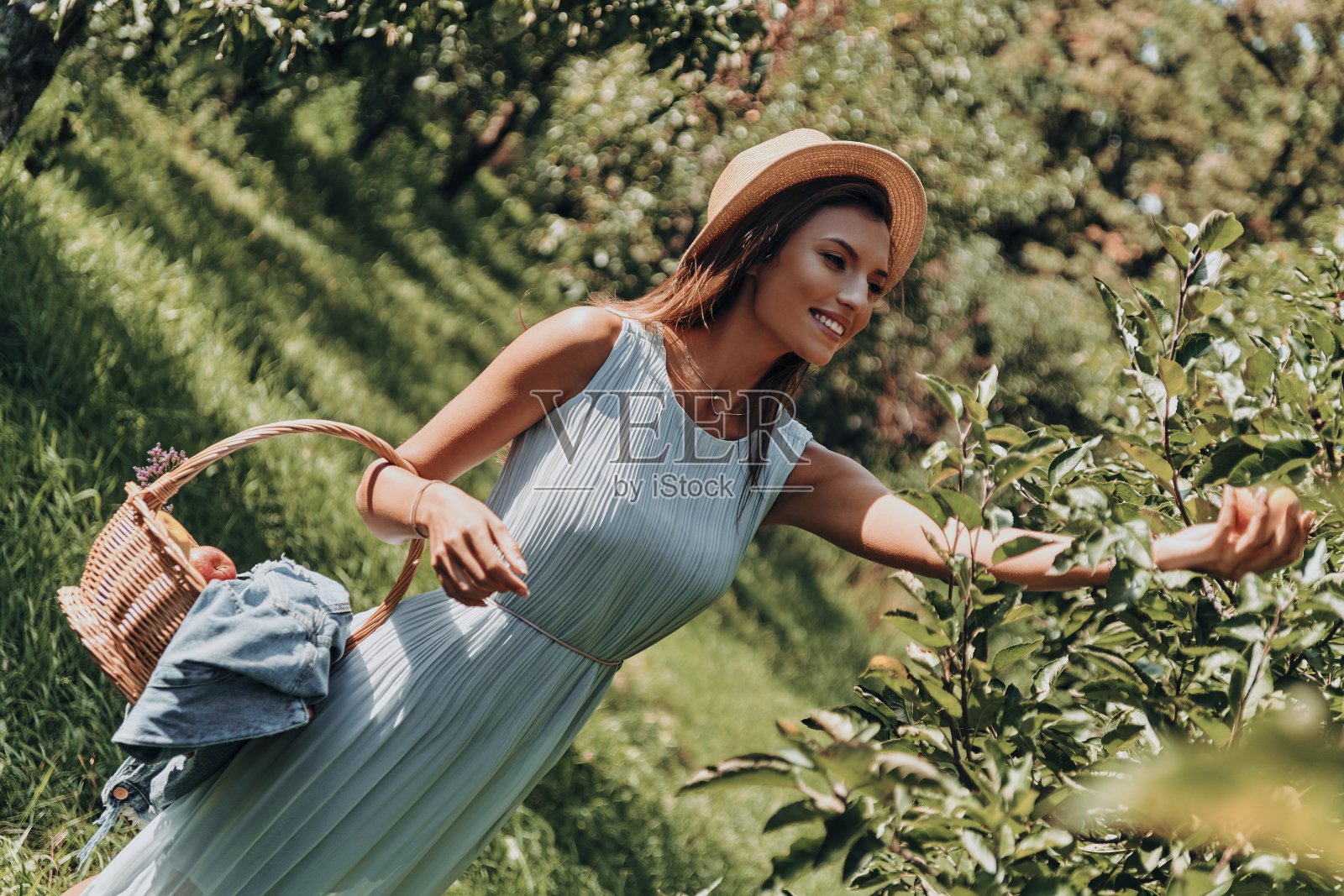 美味的苹果。照片摄影图片