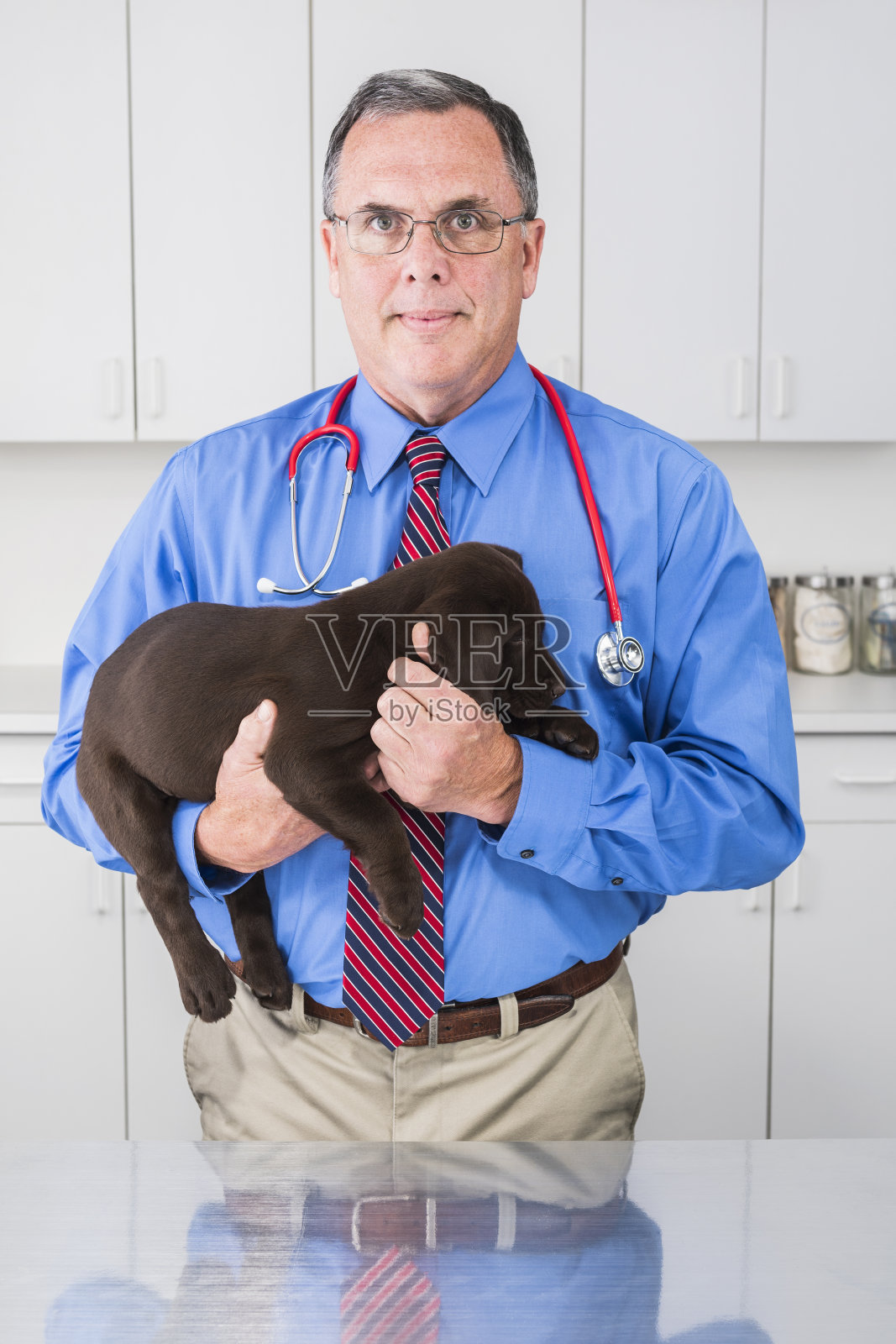 雄性兽医抱着一只8周大的巧克力色拉布拉多小狗照片摄影图片