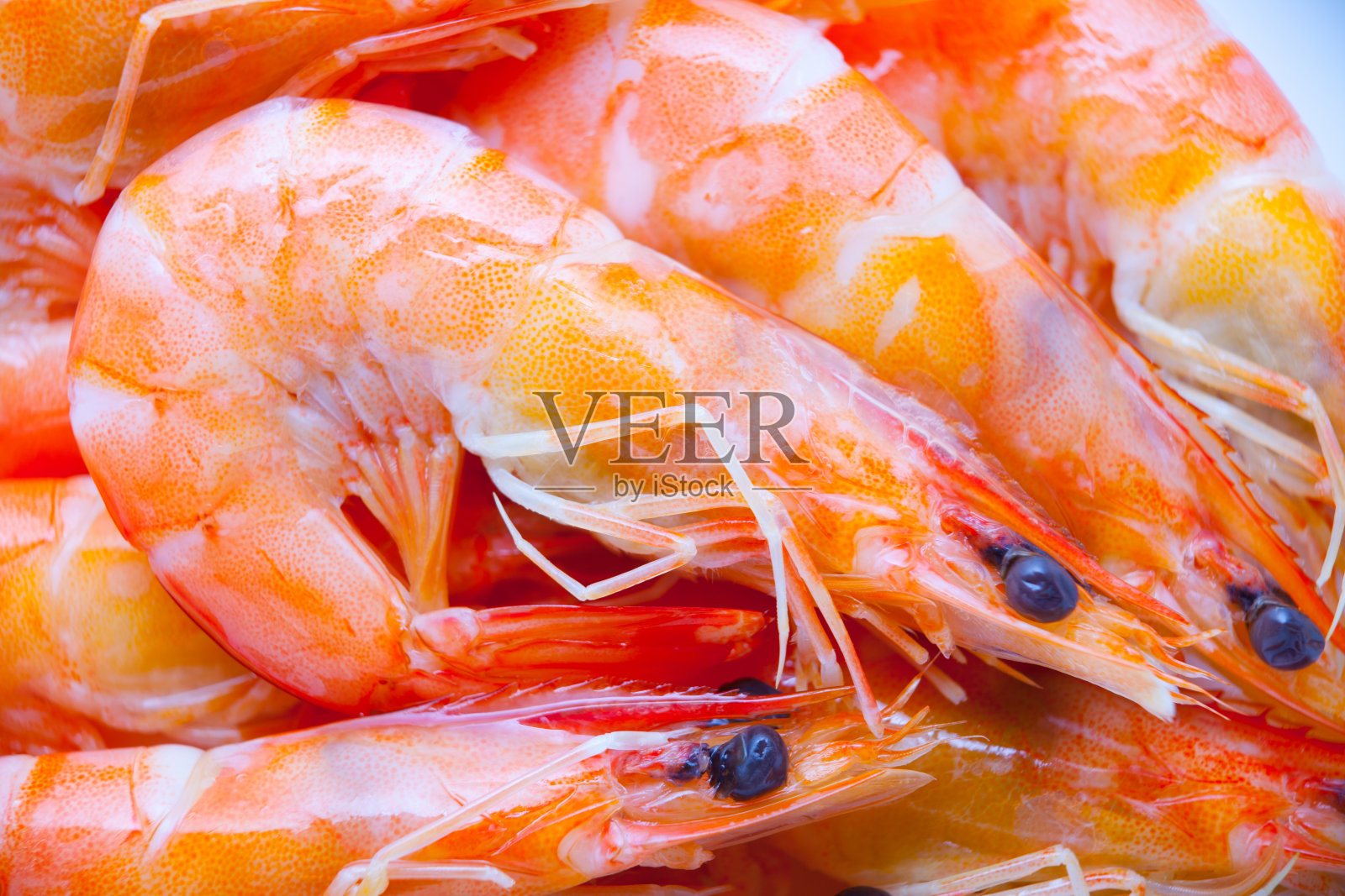 煮熟的虾在白色的背景。照片摄影图片