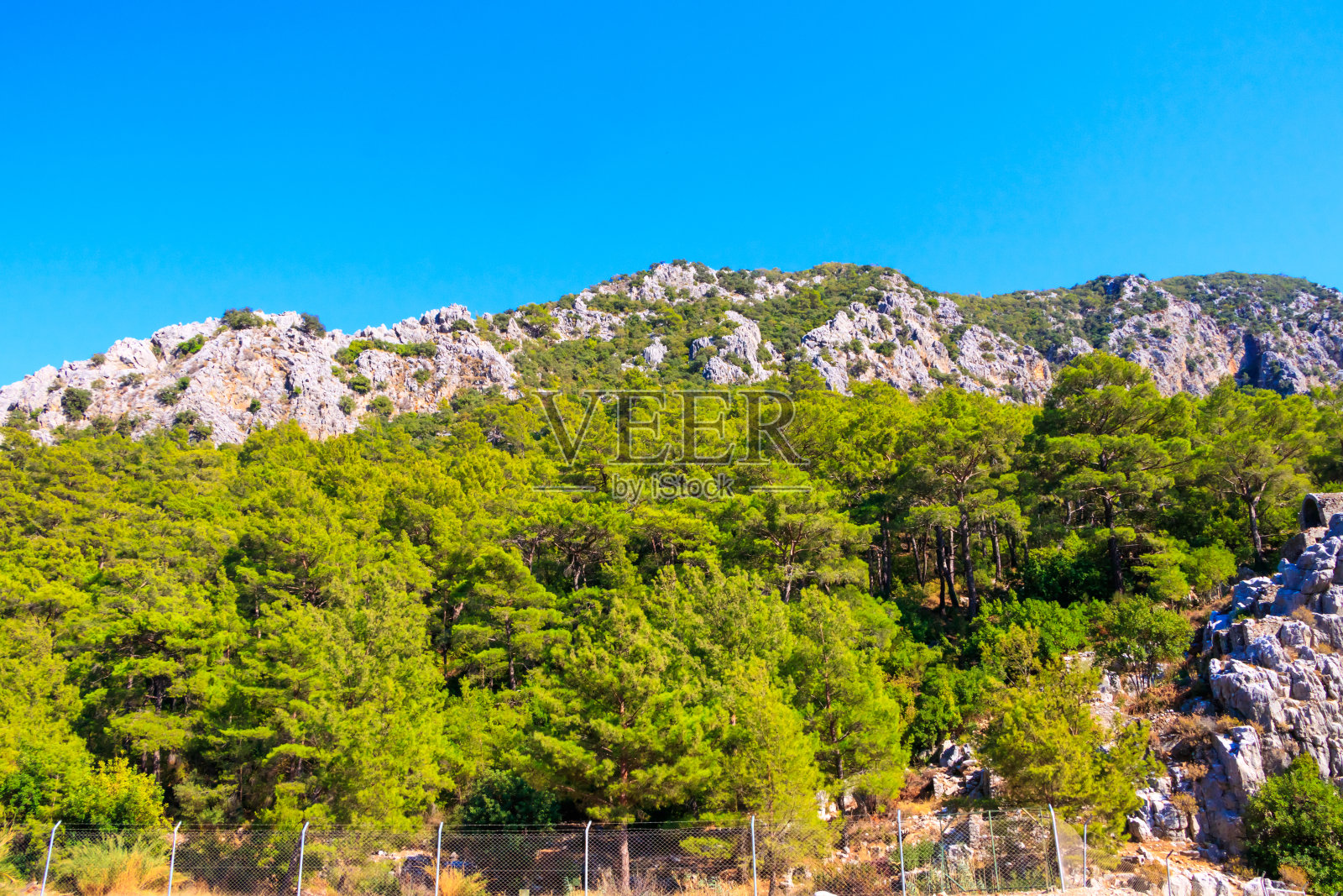 青山照片摄影图片