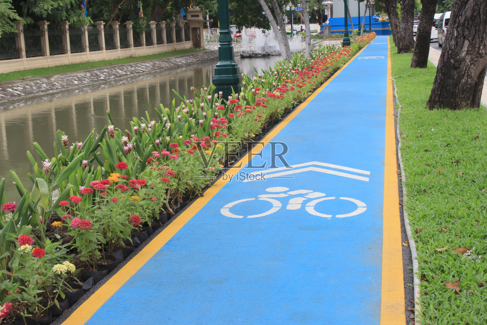 公园里的自行车道照片摄影图片