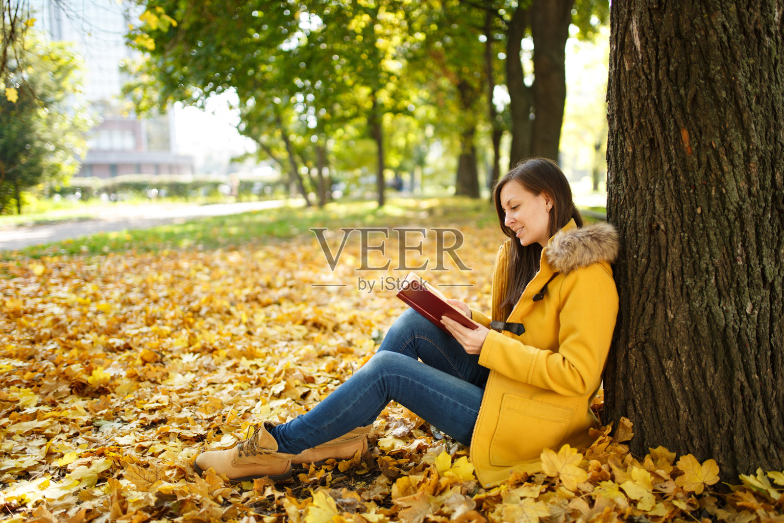 一个美丽、快乐、微笑的棕色头发的女人穿着黄色的外套和牛仔裤坐在枫树下，拿着一本红色的书在秋天的城市公园里一个温暖的日子。秋天金色的叶子。阅读的概念照片摄影图片