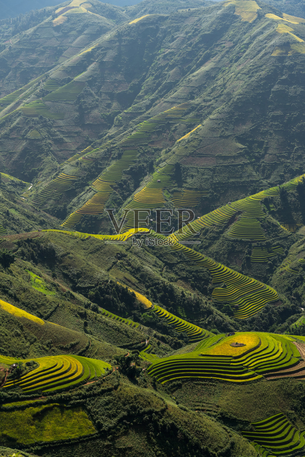 山谷梯田，木仓寨，颜白，越南照片摄影图片