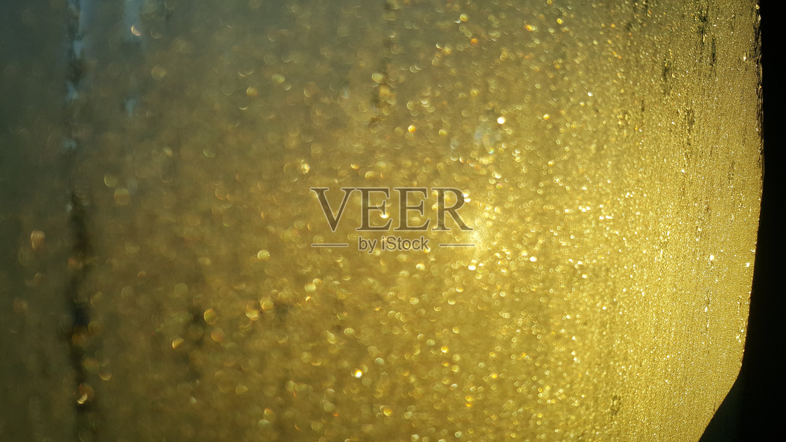 四季照片摄影图片