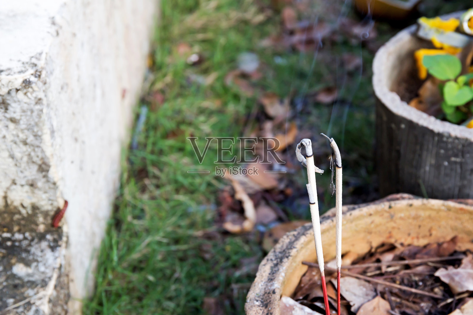 近距离的香照片摄影图片