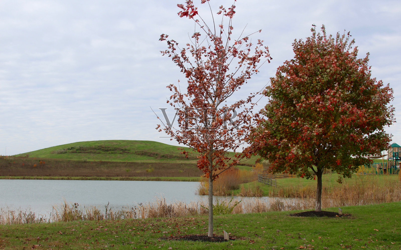 秋天的场景照片摄影图片