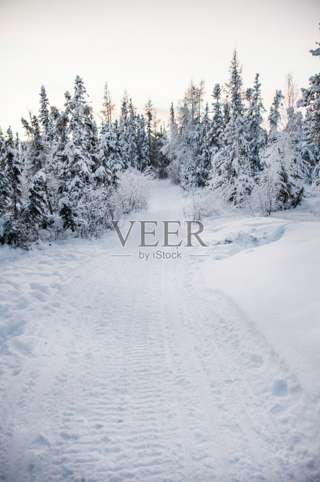 冬天走了照片摄影图片