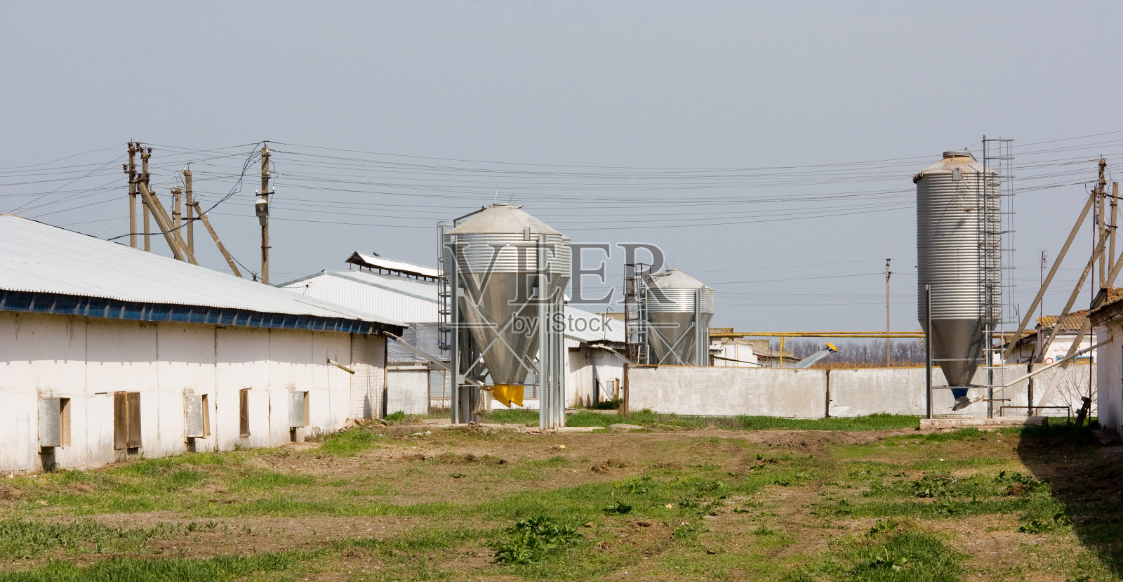 养鸡场设有四个粮仓，用于储存家禽饲料照片摄影图片