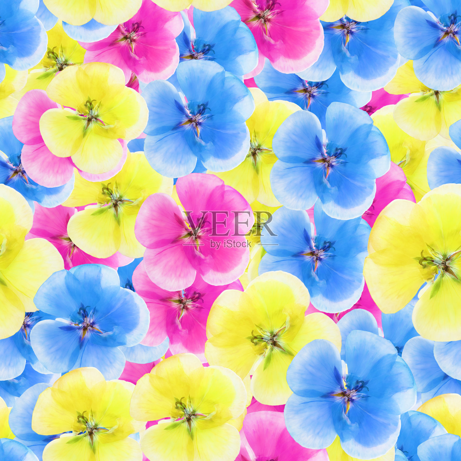 天竺葵,天竺葵属植物。花型纹理无缝。花背景，照片拼贴照片摄影图片